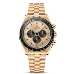 MOONWATCH PROFESSIONAL CO?AXIAL MASTER CHRONOMETER CHRONOGRAPH 42 MM-310.60.42.50.99.002