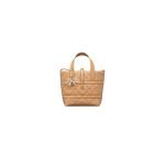 Small Dior Toujours Vertical Tote Bag