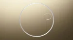 Rolex Datejust m126303-0012 Watch - Image 5