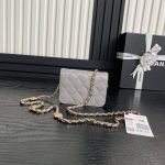 CHANEL Clutch With Chain(high-end grade) — Chanel handbag detail view 3