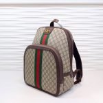 Ophidia GG medium backpack — Gucci handbag detail view 3