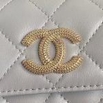 CHANEL Clutch With Chain(high-end grade) — Chanel handbag detail view 4