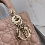 SMALL LADY DIOR MY ABCDIOR BAG — Dior handbag detail view 4