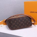 Louis Vuitton Hobo Dauphine PM Handbag - Image 5