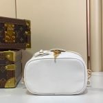 Louis Vuitton Vanity PM — Louis Vuitton handbag detail view 5