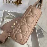 SMALL LADY DIOR MY ABCDIOR BAG — Dior handbag detail view 5