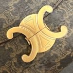CELINE TEEN NINO BAG IN TRIOMPHE CANVAS — Celine handbag detail view 6