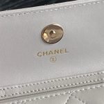 CHANEL Clutch With Chain(high-end grade) — Chanel handbag detail view 6