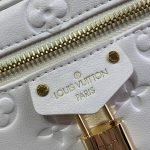 Louis Vuitton Vanity PM — Louis Vuitton handbag detail view 6
