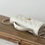CHANEL Chain Clutch — Chanel handbag detail view 6