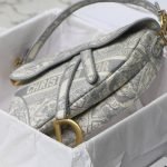 DIOR SADDLE BAG - Image 6