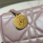 Diorstar Callisto bag - Image 6