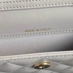 CHANEL Clutch With Chain(high-end grade) — Chanel handbag detail view 7