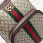 Ophidia GG medium backpack — Gucci handbag detail view 7