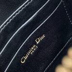 Dior Saddle Rodeo Pouch - Image 7