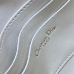 Dior Saddle Rodeo Pouch - Image 7