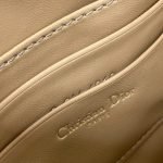 Dior Saddle Rodeo Pouch - Image 7