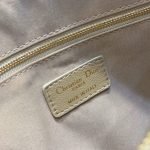 Large Dior Caro Daily Pouch(HIGH-END GRADE) — Dior handbag detail view 7