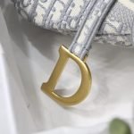 DIOR SADDLE BAG - Image 7