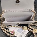 CHANEL Clutch With Chain(high-end grade) — Chanel handbag detail view 8