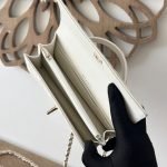 CHANEL Chain Clutch — Chanel handbag detail view 8