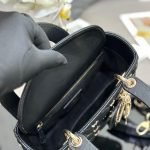 SMALL LADY DIOR BAG — Dior handbag detail view 8