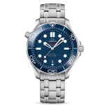 DIVER 300M CO?AXIAL MASTER CHRONOMETER 42 MM-210.30.42.20.03.001