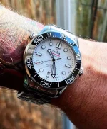 DIVER 300M CO?AXIAL MASTER CHRONOMETER 42 MM-210.30.42.20.04.001 - Image 8