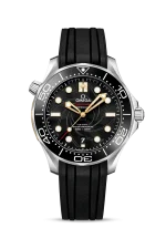 DIVER 300M CO?AXIAL MASTER CHRONOMETER 42 MM - Image 10