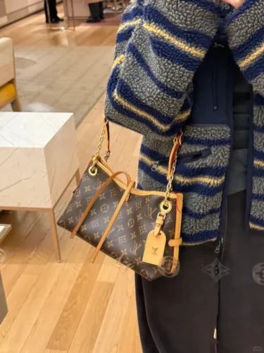 Louis Vuitton CarryAll BB photo review