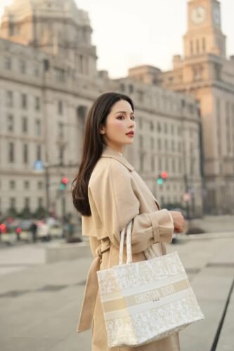 Medium Dior Book Tote photo review