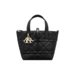 Small Dior Toujours Vertical Tote Bag