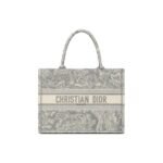 SMALL DIOR BOOK TOTE